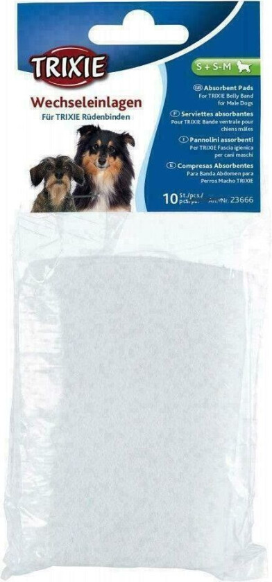 Innlegg til Boyband for hannhund 10 stk M