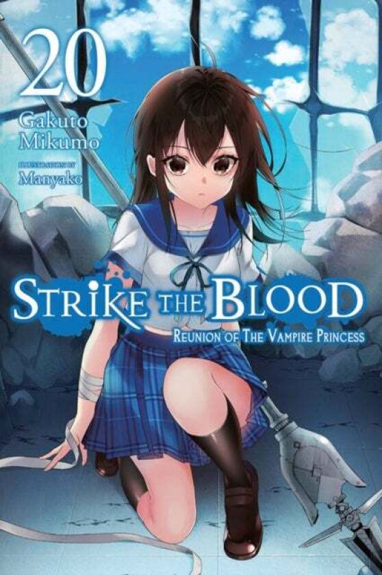 Strike the Blood, Vol. 20 (light novel) av Gakuto Mikumo