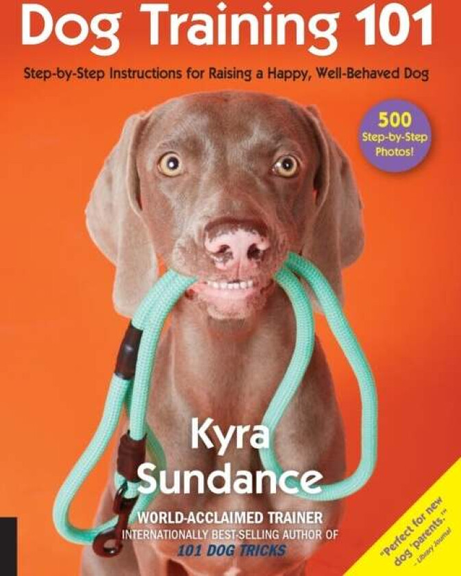 Dog Training 101 av Kyra Sundance