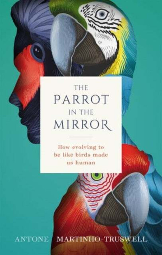 The Parrot in the Mirror av Antone (Dean Graduate House St Paul's College University of Sydney) Martinho-Truswell