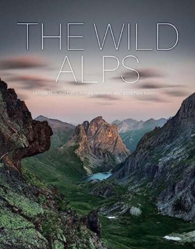 The Wild Alps Av Katinka Holupirek, Martin Rasper, Dr. Gotlind Blechschmidt