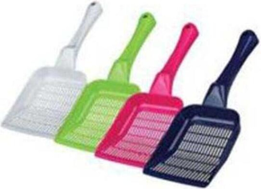 Kattespade Medium Fin