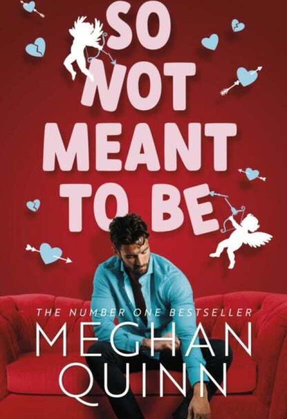 So Not Meant To Be av Meghan Quinn