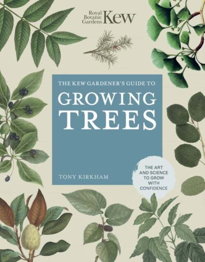 The Kew Gardener's Guide to Growing Trees av Royal Botanic Gardens Kew, Tony Kirkham