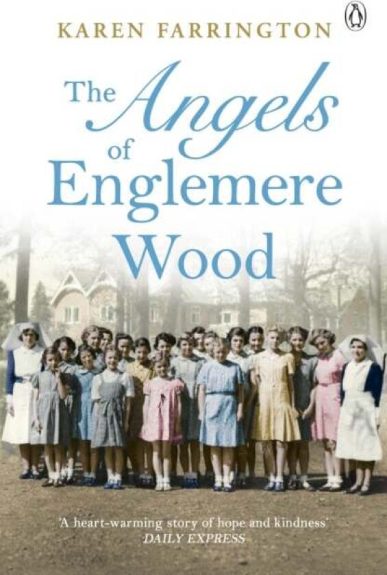 The Angels of Englemere Wood av Karen Farrington