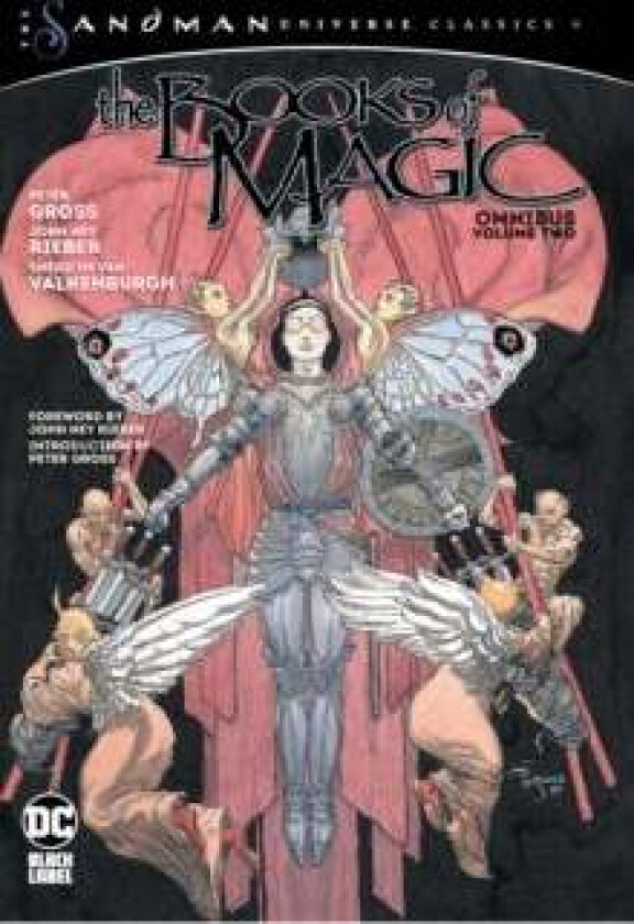 The Books of Magic Omnibus Vol. 2 av Peter Gross, John Ney Rieber