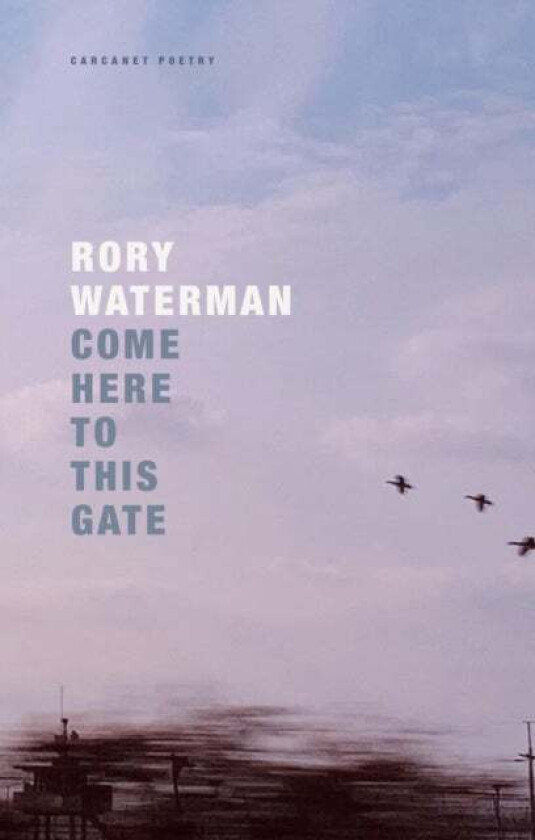 Come Here To This Gate av Rory Waterman