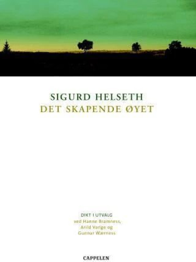 Det skapende øyet av Sigurd Helseth