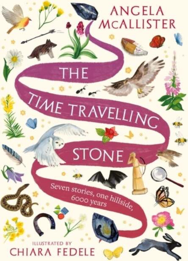 The Time Travelling Stone Av Angela Mcallister
