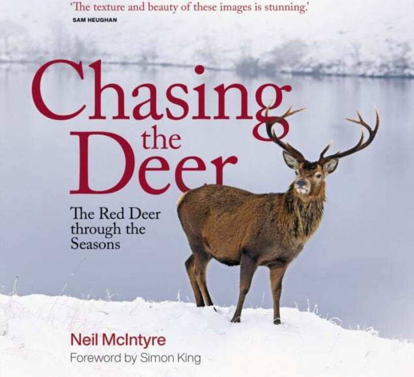 Chasing the Deer av Neil McIntyre