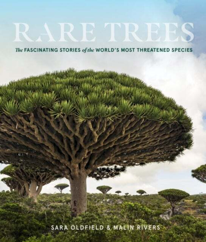 Rare Trees: The Fascinating Stories of the World's Most Threatened Species av Sara Oldfield, Malin Rivers