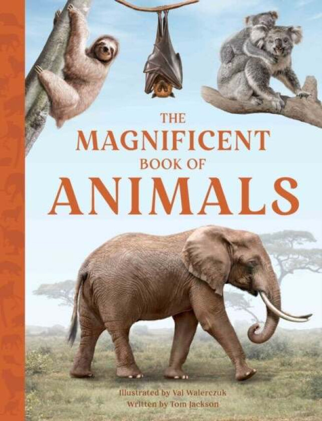 The Magnificent Book of Animals av Tom Jackson