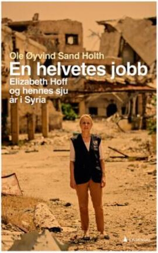 En helvetes jobb av Ole Øyvind Sand Holth