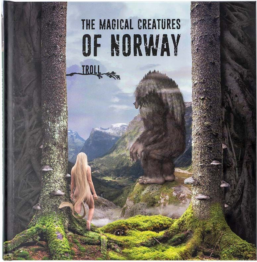 The magical creatures of Norway av Anne Marie Rosenvold