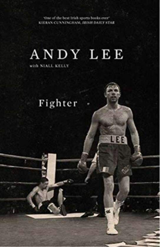Fighter Av Andy Lee