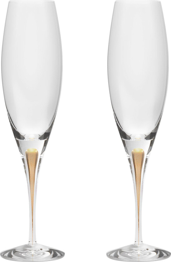 Intermezzo champagneglass 26 cl 2-pakning Gull