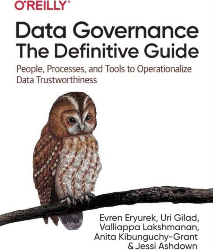 Data Governance: The Definitive Guide av Evren Eryurek, Uri Gilad, Valliappa Lakshmanan, Anita Kibunguchy, Jessi Ashdown