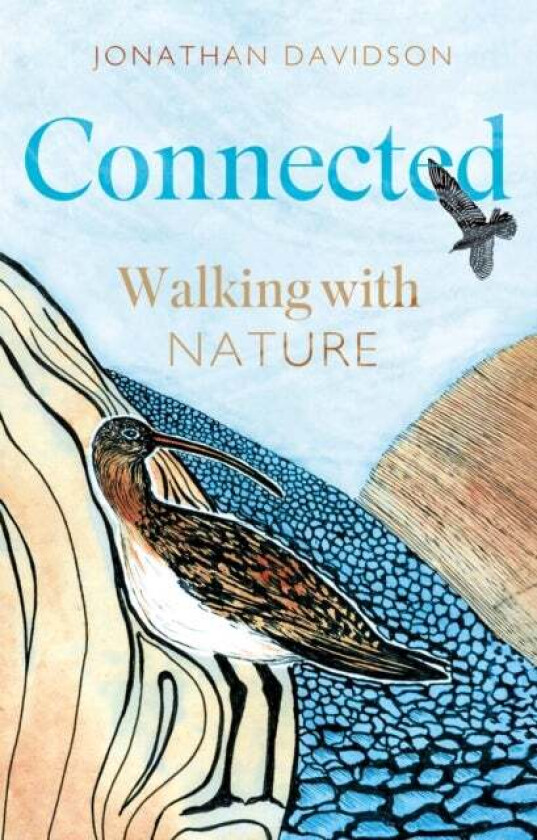 Connected av Jonathan Davidson