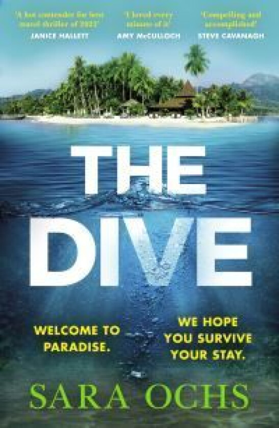 The Dive av Sara Ochs