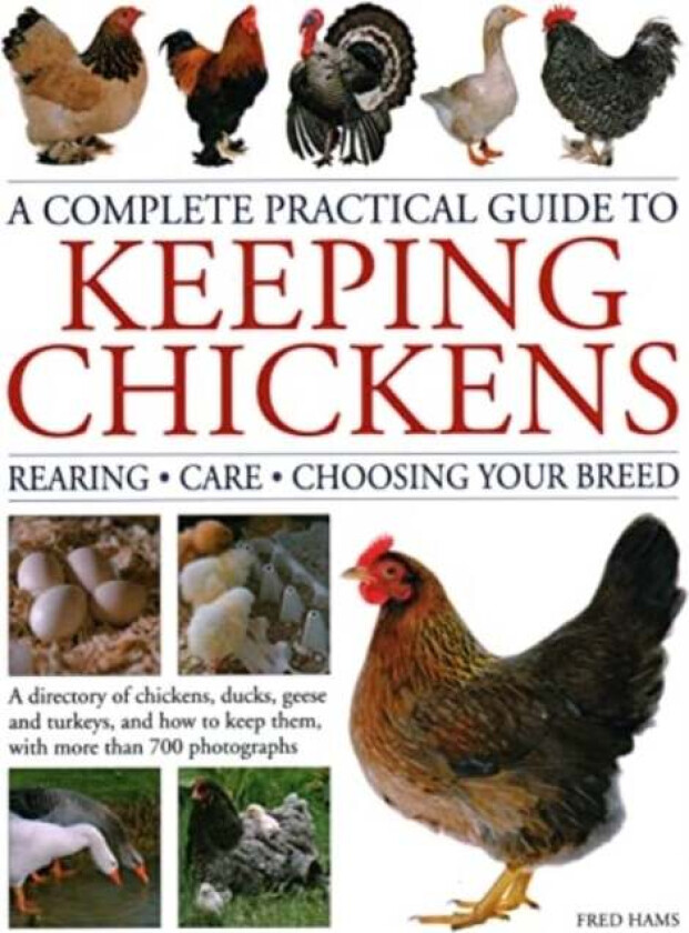 Keeping Chickens, Complete Practical Guide to av Fred Hams