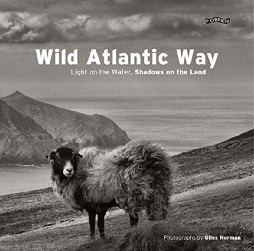Wild Atlantic Way av Giles Norman