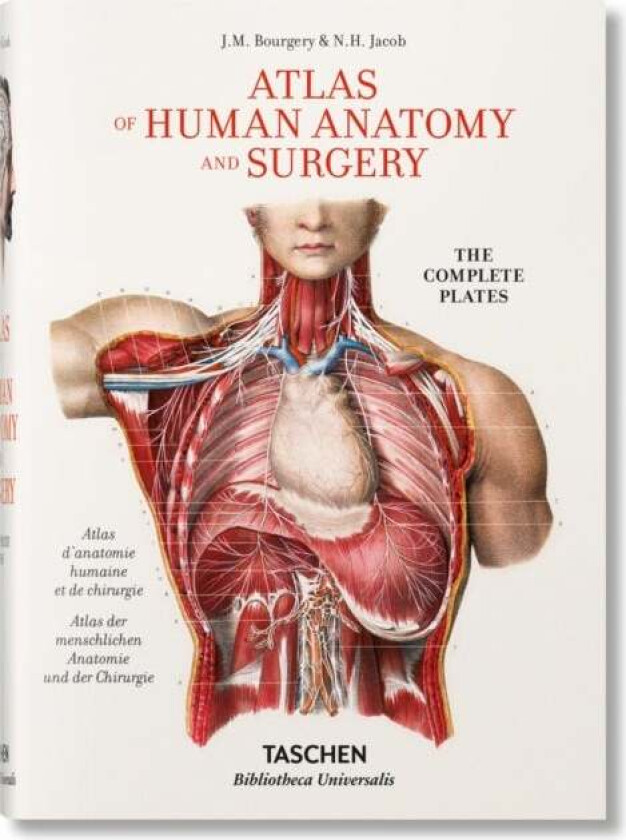 Bourgery. Atlas of Human Anatomy and Surgery av Jean-Marie Le Minor, Henri Sick