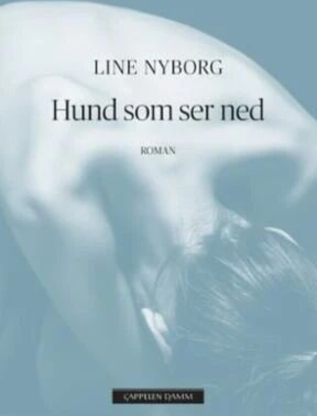 Hund som ser ned av Line Nyborg