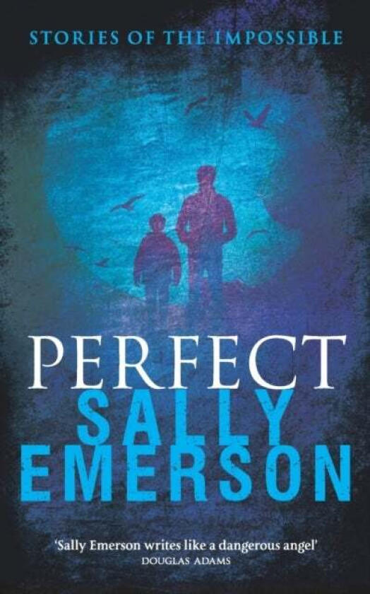 Perfect, Stories of the Impossible av Sally Emerson