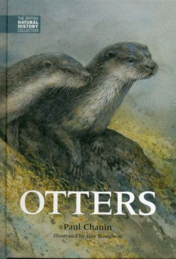 Otters av Paul Chanin