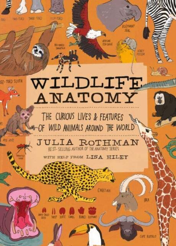 Wildlife Anatomy: The Curious Lives & Features of Wild Animals around the World av Julia Rothman