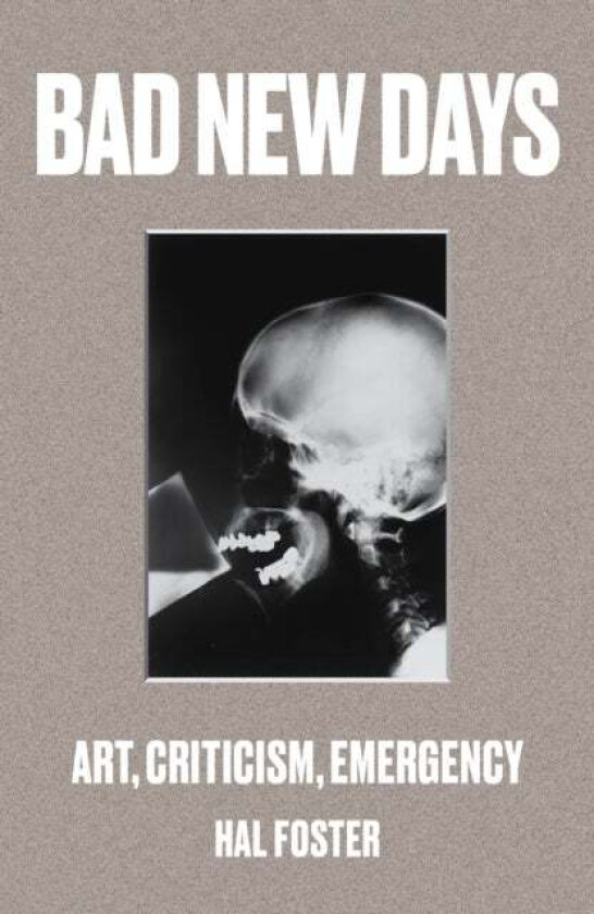 Bad New Days av Hal Foster