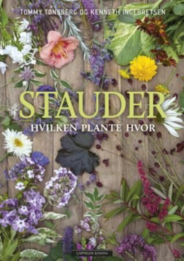 Stauder av Kenneth Tønsberg Tommy Ingebretsen