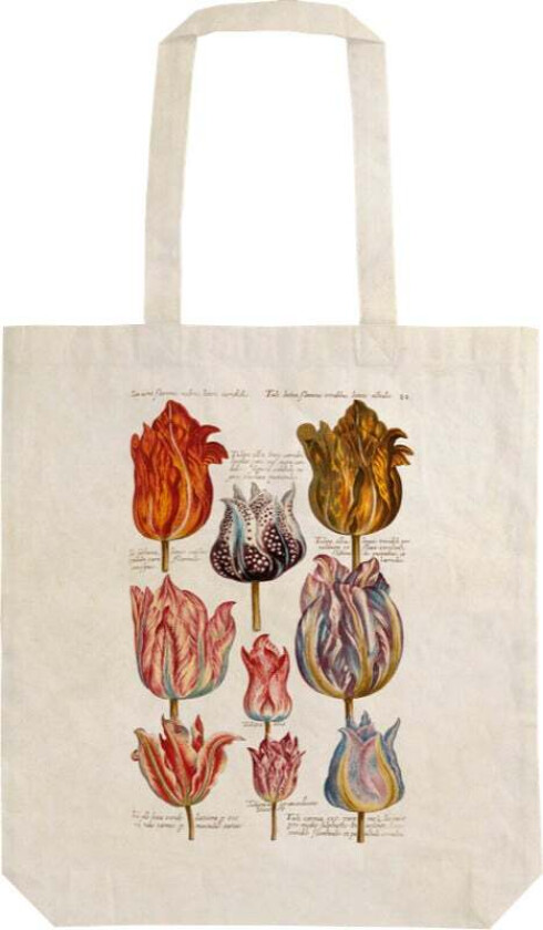 Handlenett Tulipaner