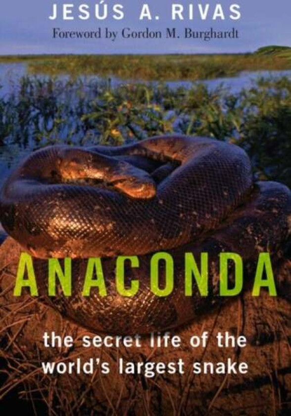 Anaconda Av Jesus A. (Associate Professor Of Biology Associate Professor Of Biology New Mexico Highlands University) Rivas