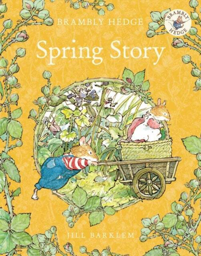 Spring Story av Jill Barklem