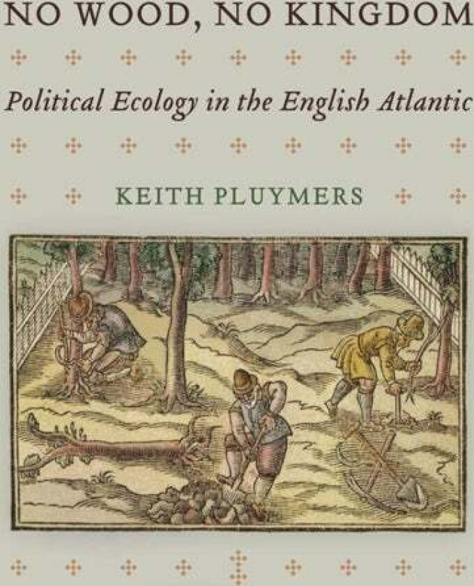 No Wood, No Kingdom av Keith Pluymers