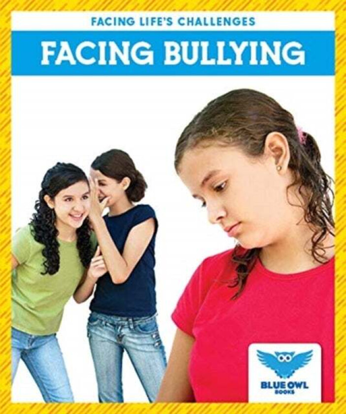 Facing Bullying av Stephanie Finne