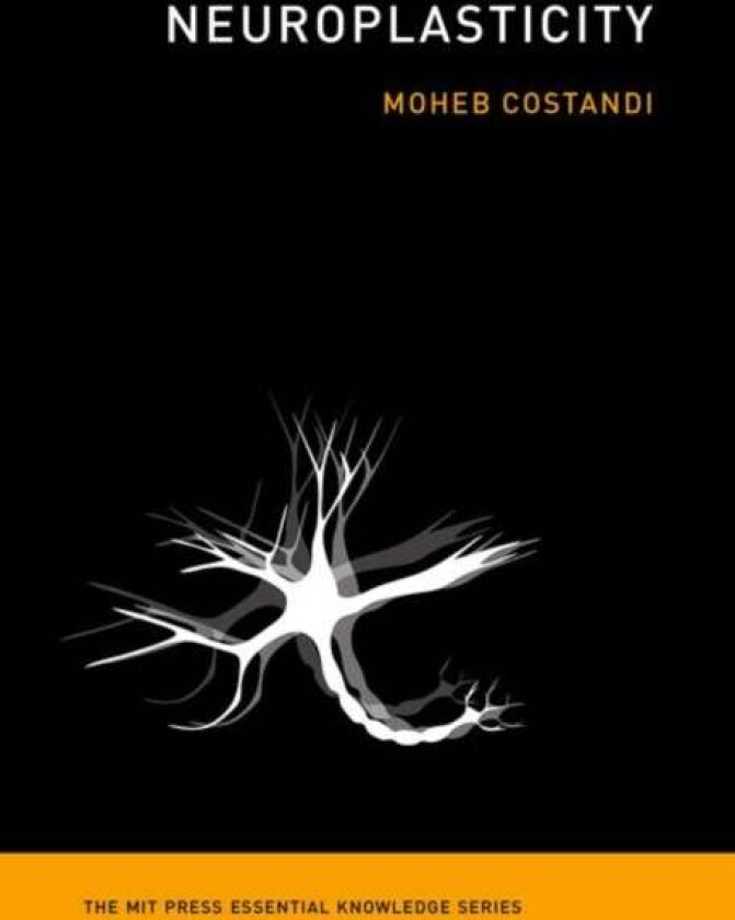 Neuroplasticity Av Moheb Costandi