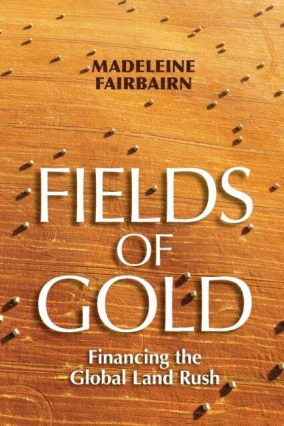 Fields of Gold av Madeleine Fairbairn