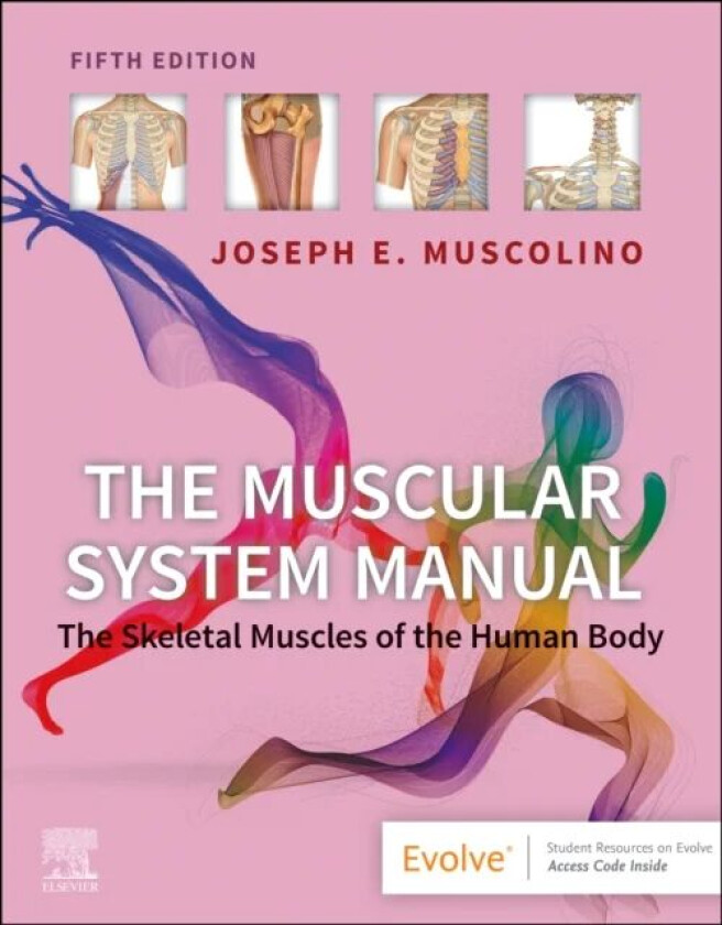 The Muscular System Manual av Joseph E. (Instructor Purchase College State University of New York Purchase New York Muscolino, The Art and Science of