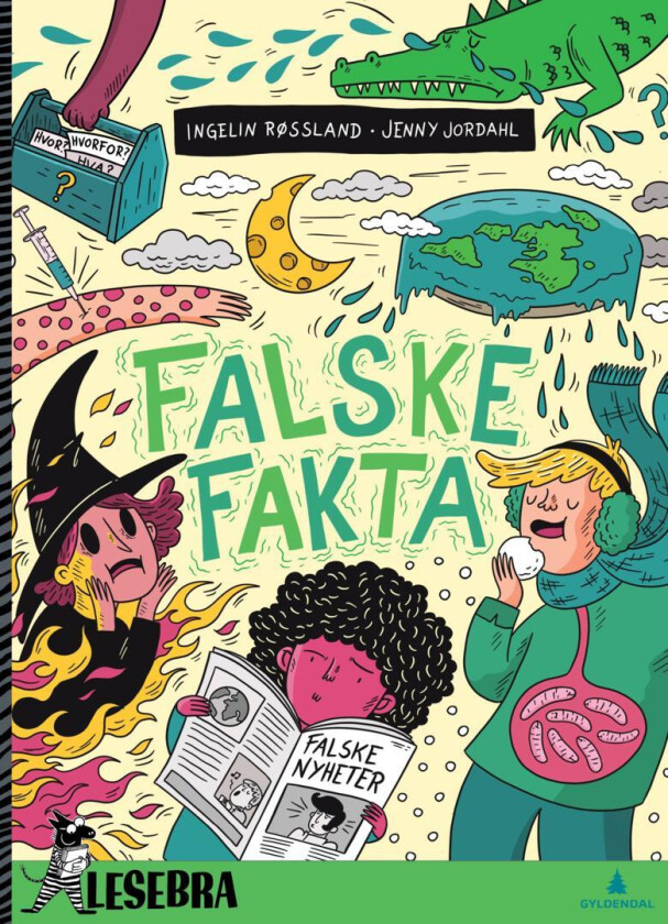 Falske fakta av Ingelin Røssland