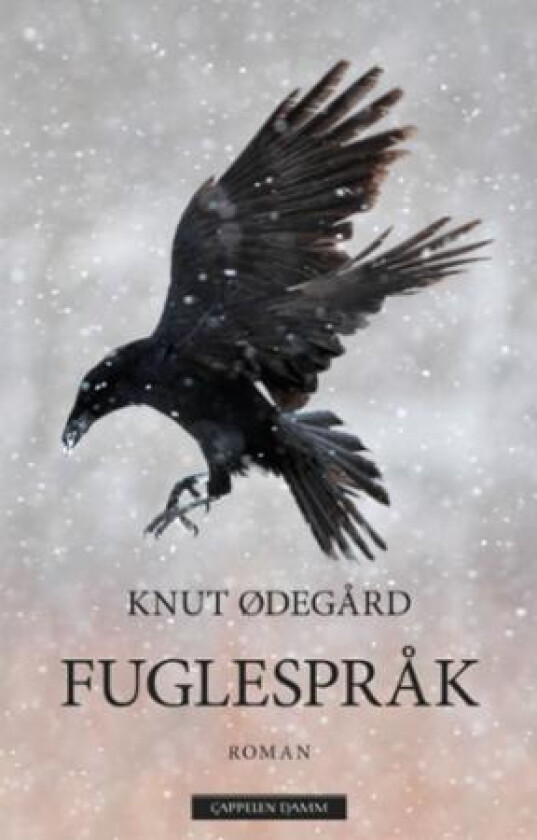 Fuglespråk av Knut Ødegård