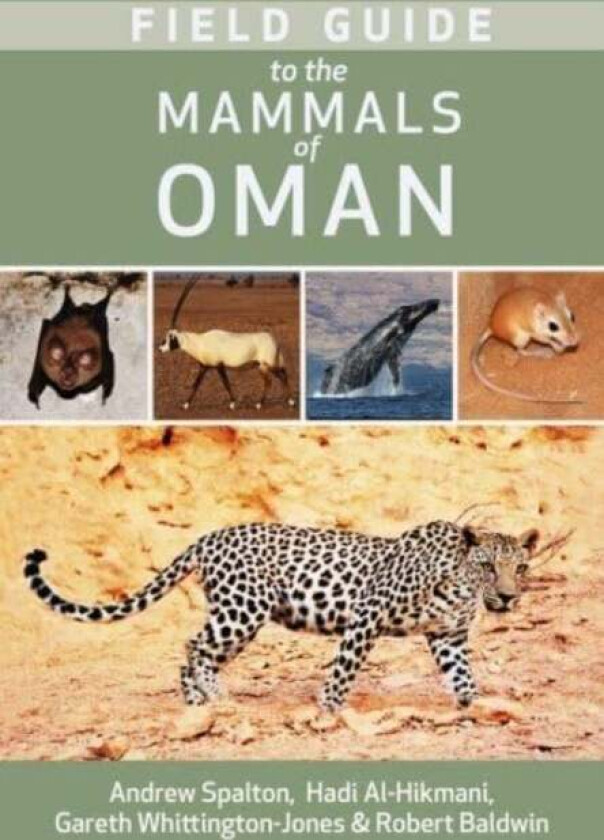 Field Guide to the Mammals of Oman av Andrew Spalton, Hadi Al Hikmani, Gareth Whittington-Jones, Robert Baldwin