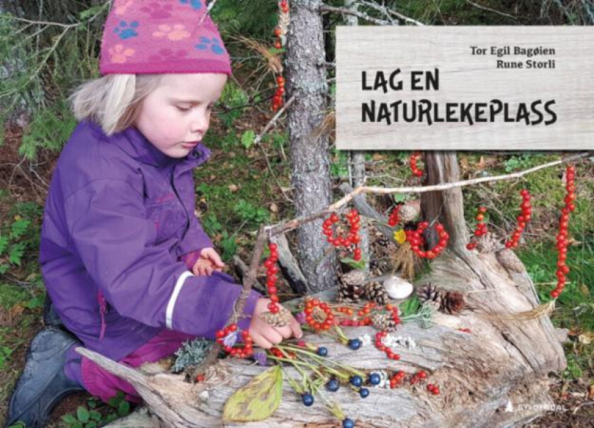 Lag en naturlekeplass av Tor Egil Bagøien, Rune Storli