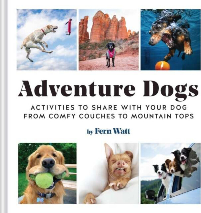 Adventure Dogs av Lauren Watt