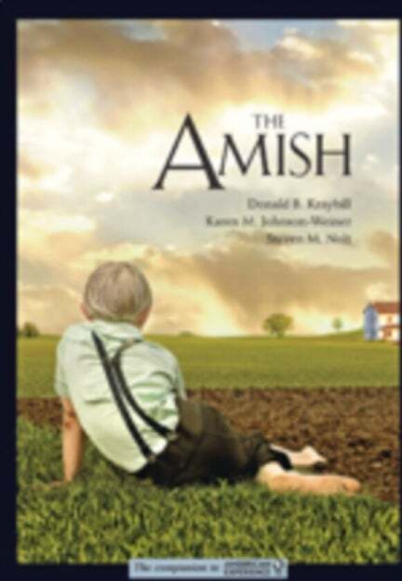 The Amish av Donald B. (Distinguished Professor and Senior Fellow Elizabethtown College) Kraybill, Karen M. (Professor SUNY Potsdam) Johnson-Weiner, S