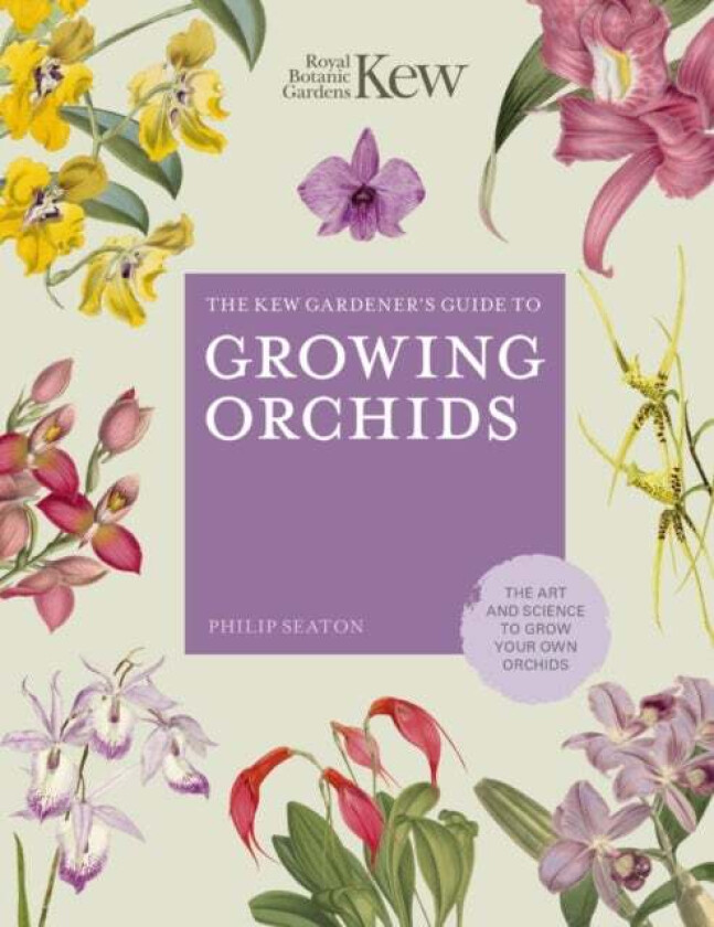 The Kew Gardener's Guide to Growing Orchids av Philip Seaton, Royal Botanic Gardens Kew
