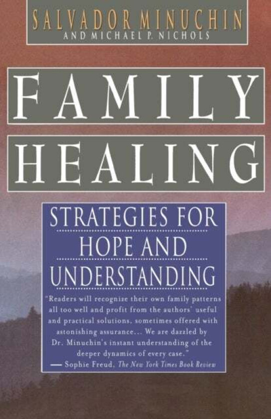 Family Healing Av Salvador Minuchin, Michael P. Nichols
