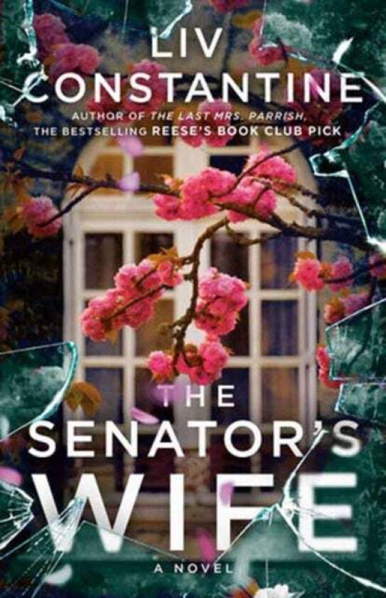 The Senator'S Wife Av Liv Constantine
