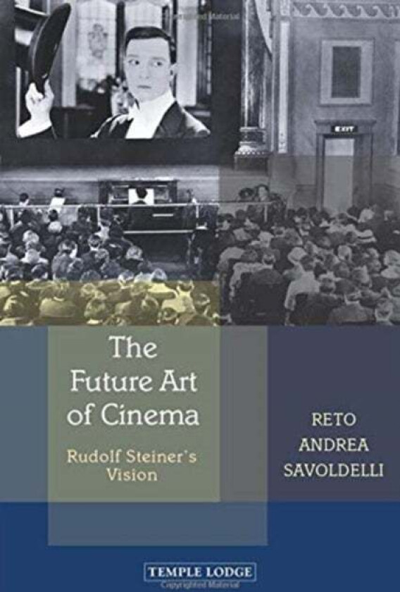 The Future Art of Cinema av Reto Andrea Savoldelli